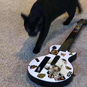 异形之馆下载安卓手机
